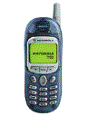 Best available price of Motorola T190 in Honduras