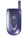 Best available price of Motorola V66i in Honduras